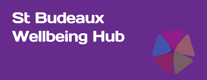 St Budeaux Wellbeing Hubs Panel Logo
