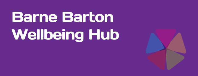 Barne Barton Wellbeing Hubs Panel